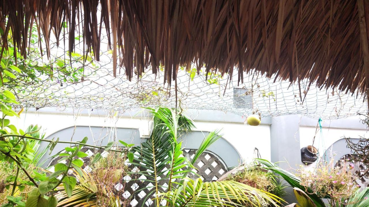 Homestay Nha Muoi 归仁 外观 照片