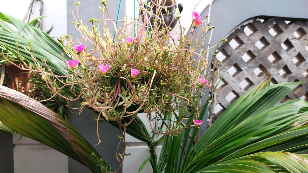 Homestay Nha Muoi 归仁 外观 照片